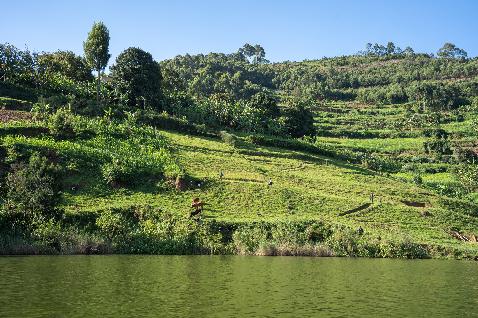 Safari Reisen: Fluß und Landschaft