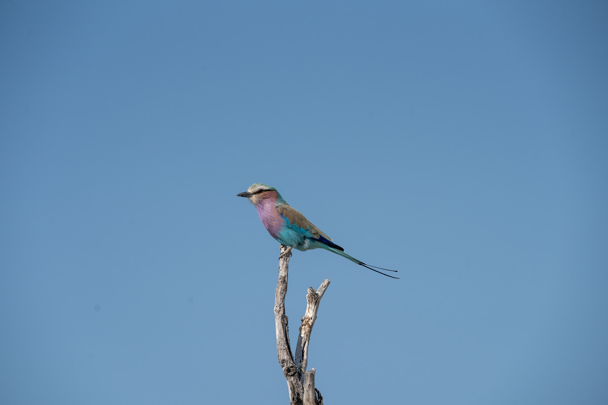 Im entspannten Rhythmus des Lake Mburo National Parks